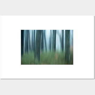 Blurred abstract trees in forest on foggy morning Posters and Art